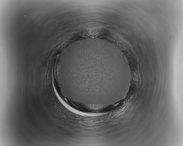 X0000094080818200710261305