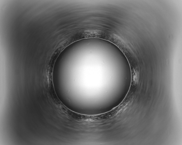 X0000094080819200710261305