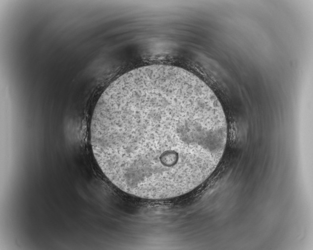 X0000094080820200710261305