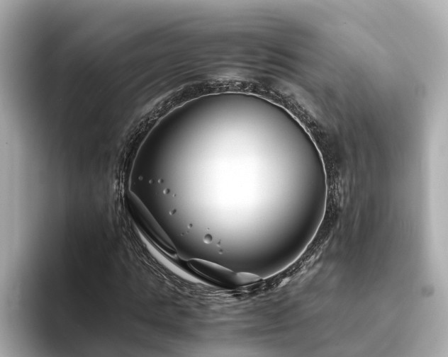 X0000094080821200710261305