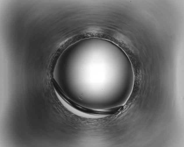 X0000094080822200710261305