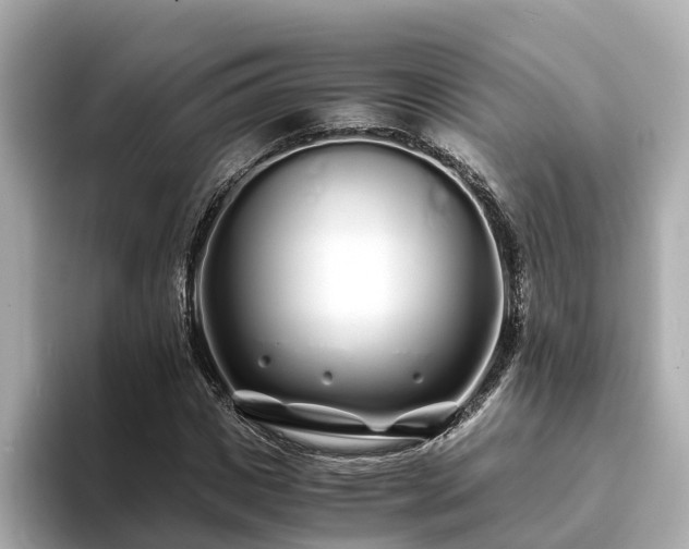 X0000094080825200710261305