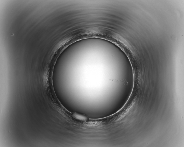 X0000094080826200710261305