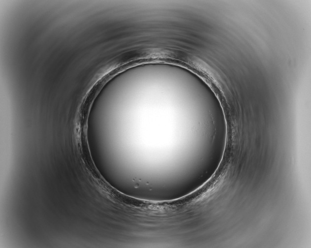 X0000094080827200710261305