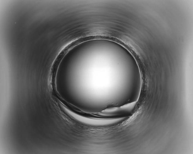 X0000094080830200710261305