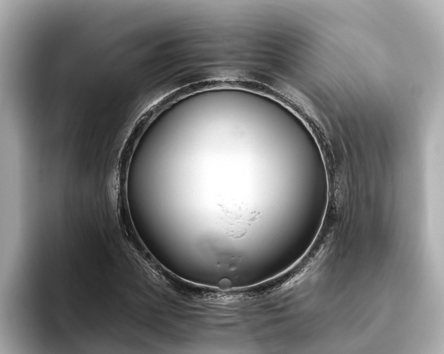 X0000094080831200710261305