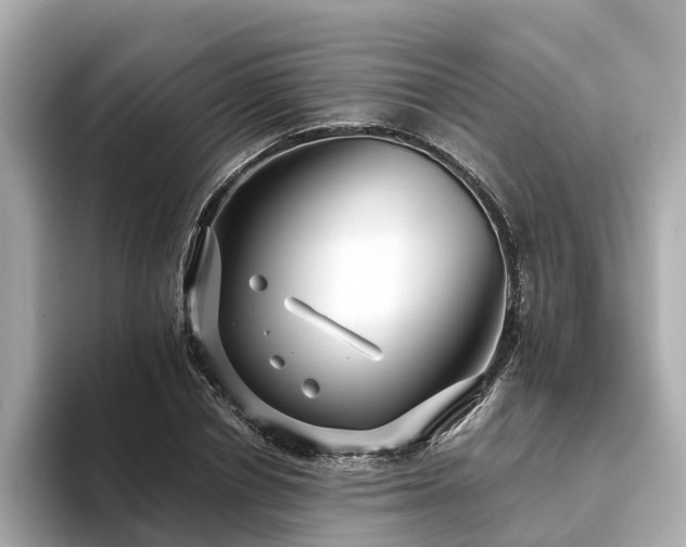 X0000094080834200710261305