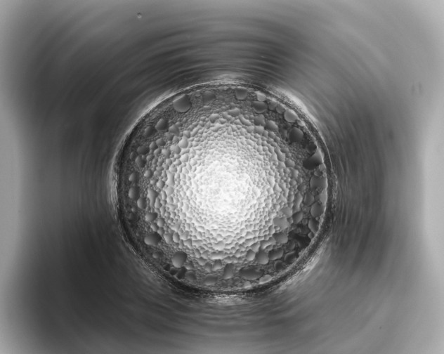 X0000094080835200710261305