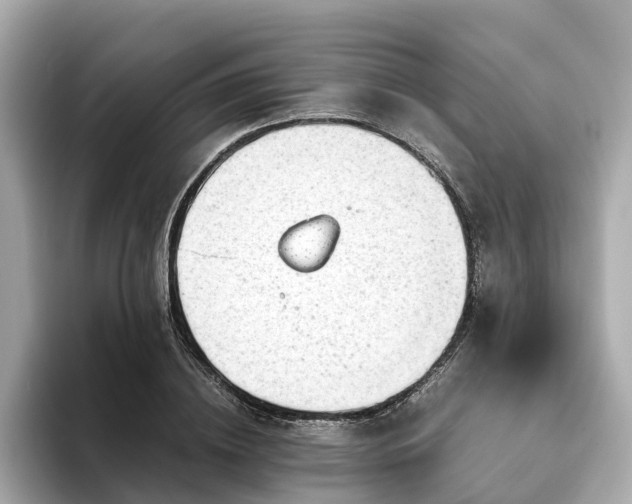 X0000094080836200710261305