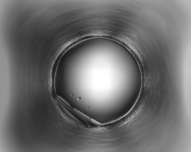 X0000094080837200710261305