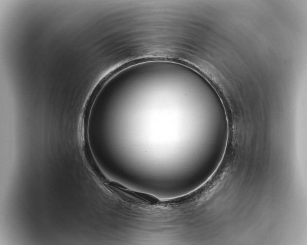 X0000094080838200710261305