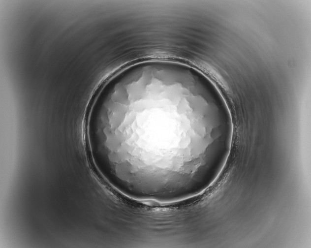 X0000094080839200710261305