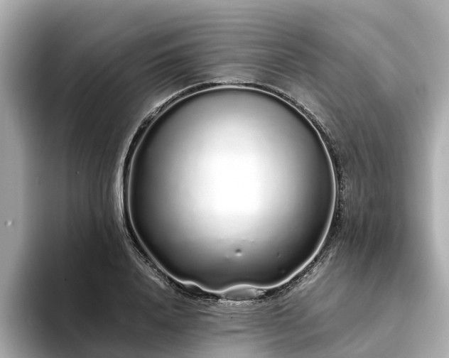 X0000094080840200710261305