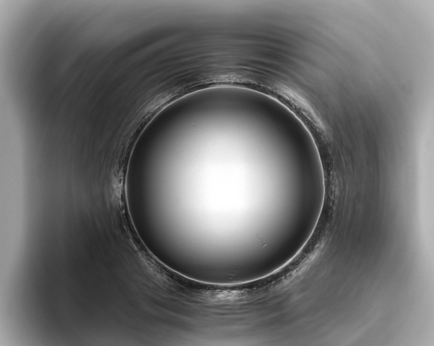 X0000094080841200710261305