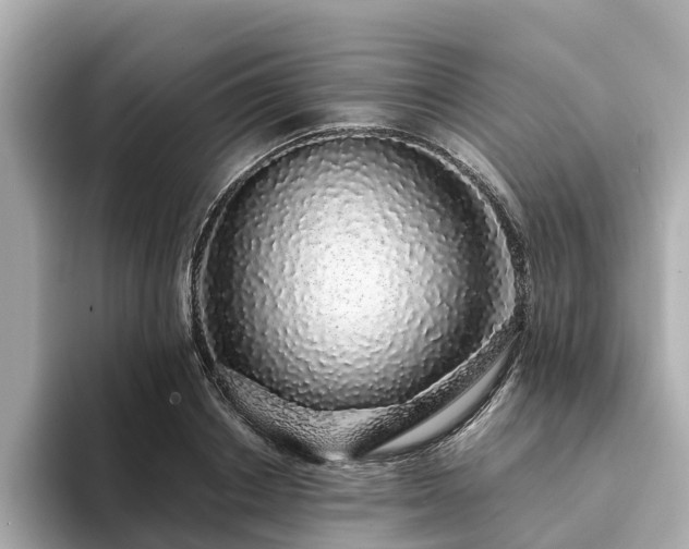 X0000094080842200710261305