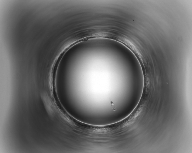 X0000094080843200710261305