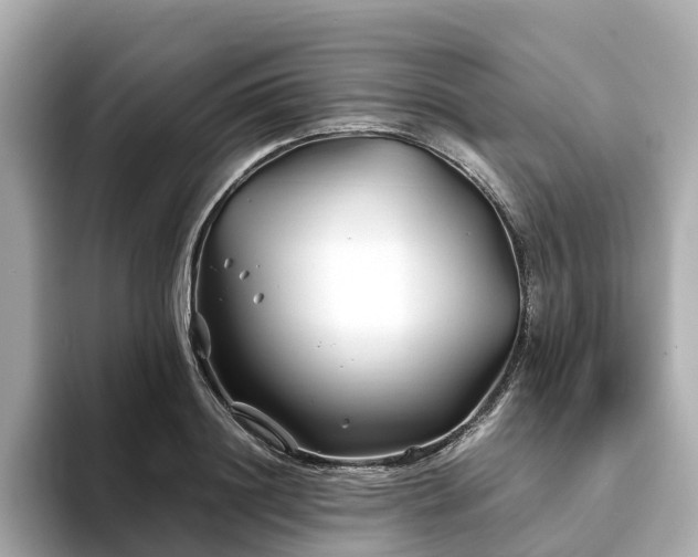 X0000094080844200710261305