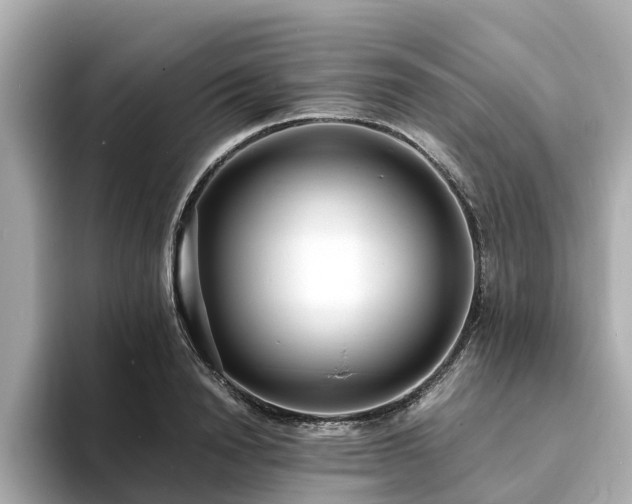 X0000094080846200710261305