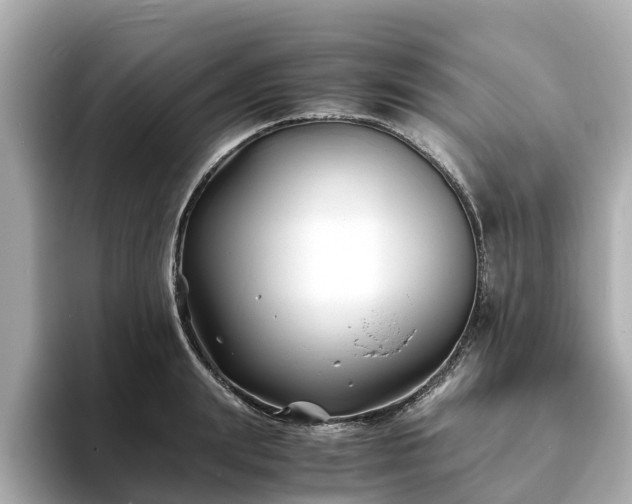 X0000094080847200710261305