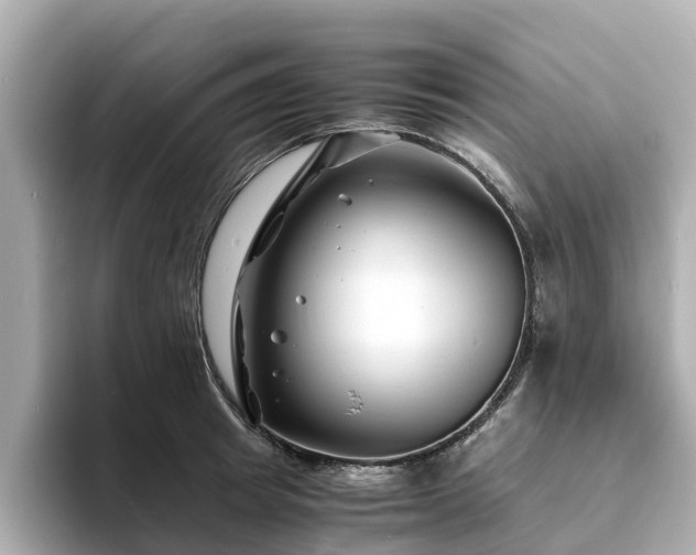 X0000094080849200710261305