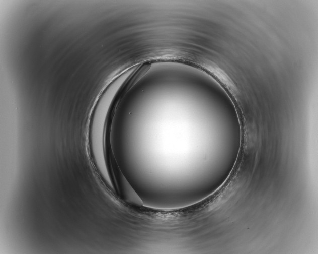 X0000094080850200710261306