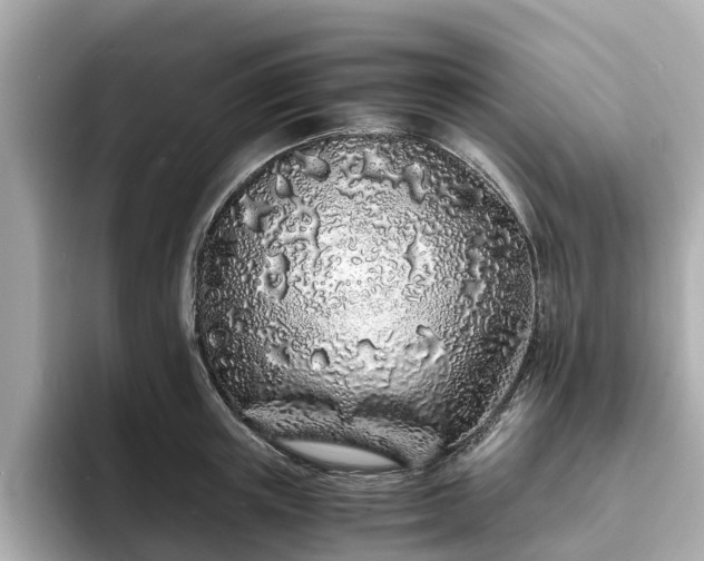 X0000094080851200710261306