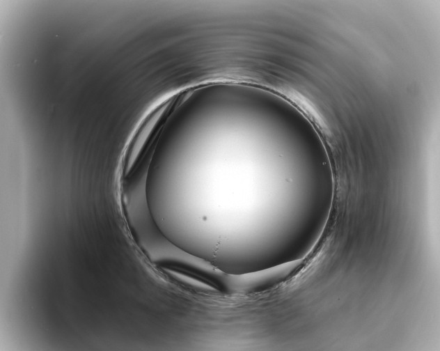 X0000094080854200710261306