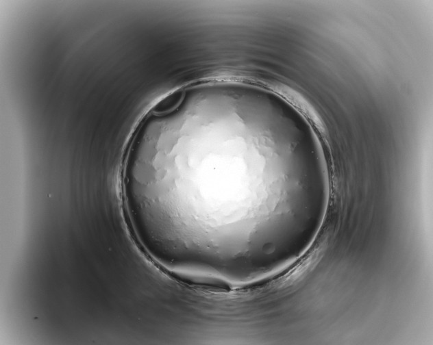 X0000094080855200710261306