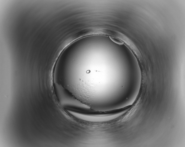 X0000094080858200710261306