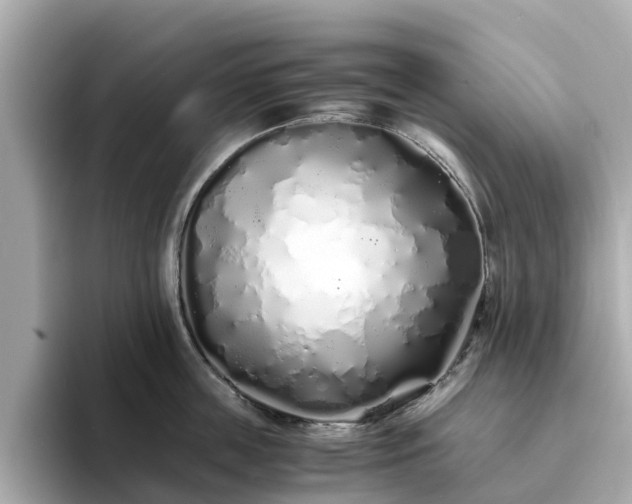 X0000094080859200710261306