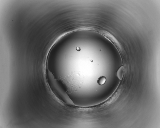 X0000094080860200710261306