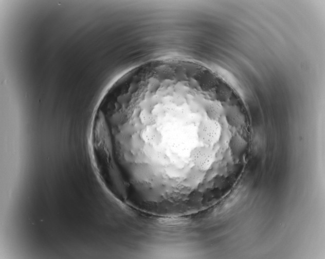 X0000094080863200710261306