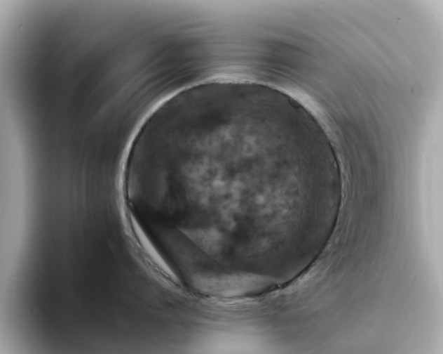 X0000094080864200710261306