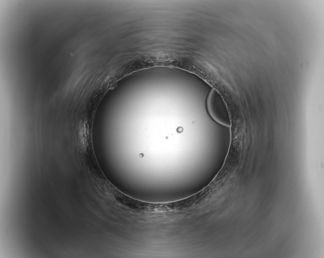 X0000094080866200710261305