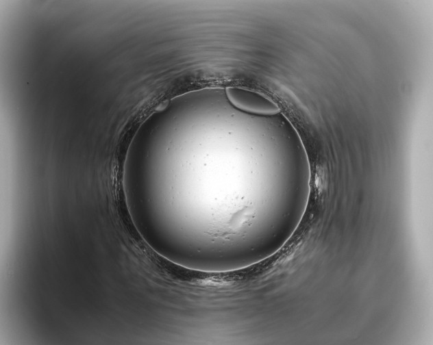 X0000094080867200710261305