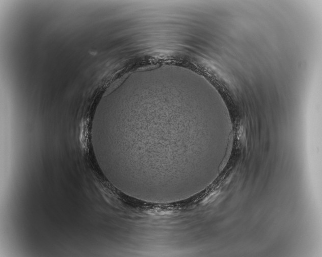 X0000094080868200710261305