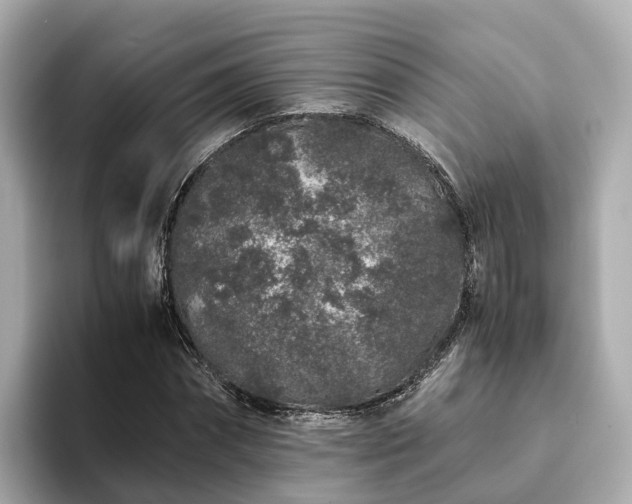 X0000094080874200710261305