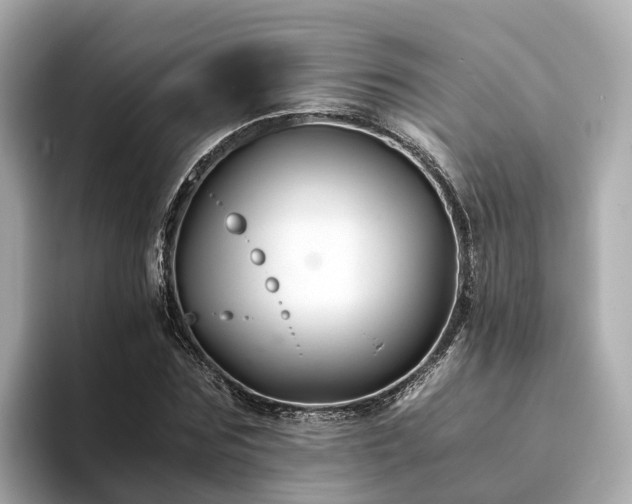 X0000094080875200710261305