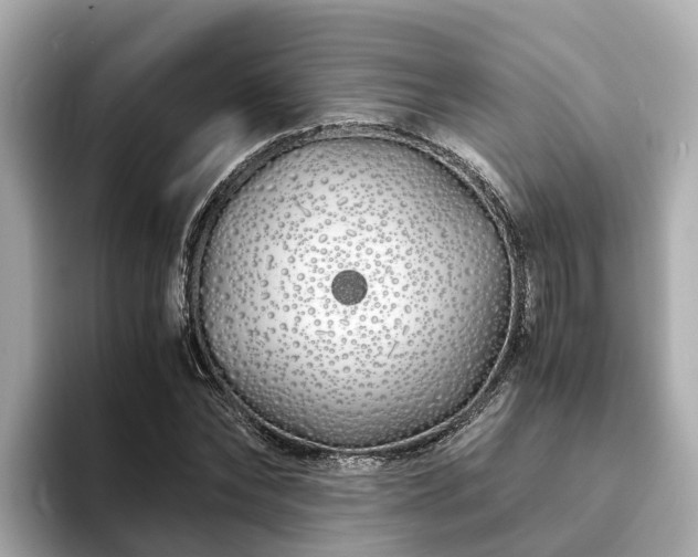 X0000094080878200710261305