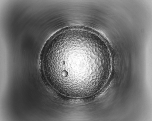 X0000094080879200710261305