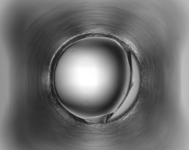 X0000094080880200710261305