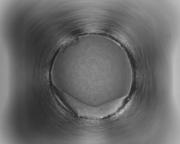 X0000094080881200710261305