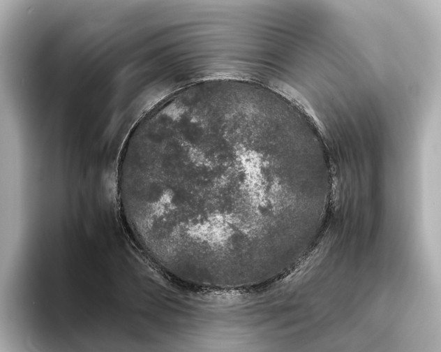 X0000094080882200710261305