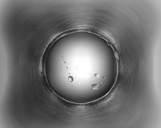 X0000094080883200710261305