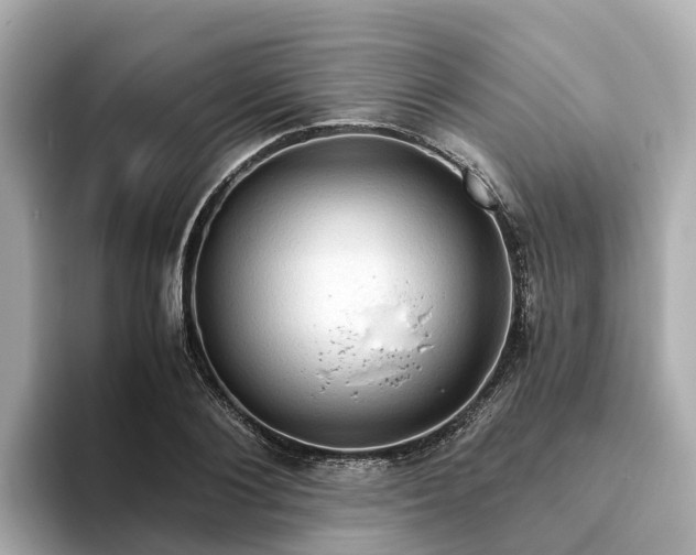 X0000094080884200710261305