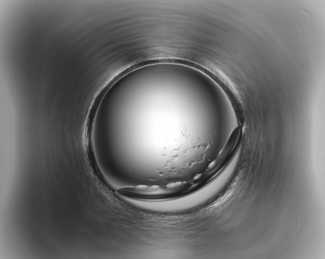 X0000094080885200710261305