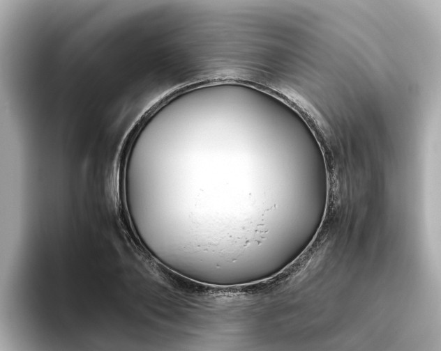 X0000094080886200710261305