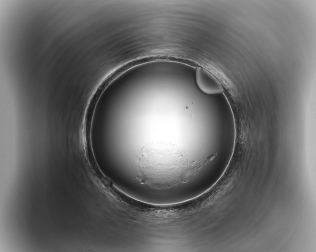 X0000094080888200710261305