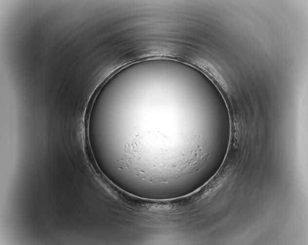 X0000094080890200710261305