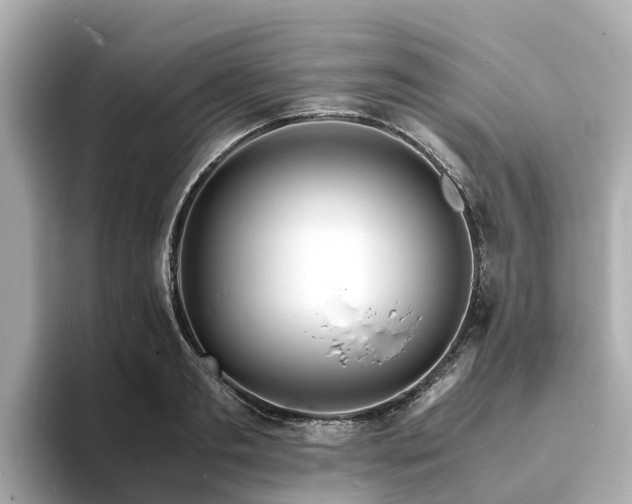 X0000094080893200710261305